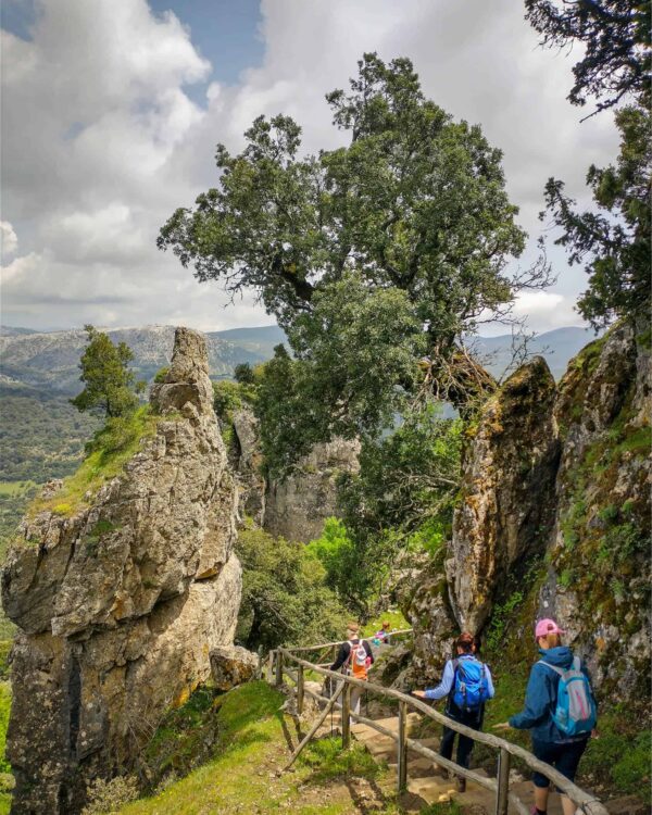 Drei Personen wandern einen Pfad in den Bergen von Sardinien hinuntern.
