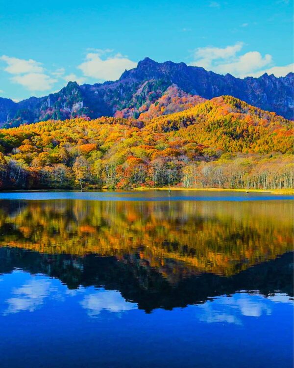 Das Bild zeigt ein Landschaftsaufnahme des Kamamiike-Teichs in Togakushi im Herbst inklusive vieler Bäume, die sich im Wasser spiegeln.
