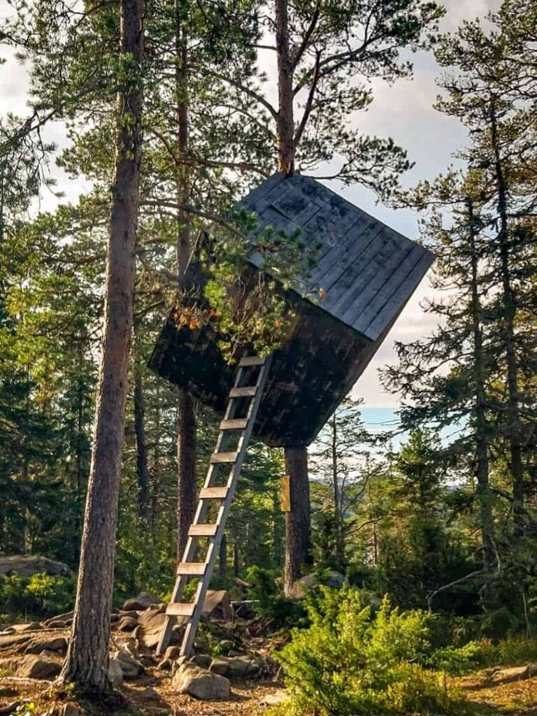 Das Bild „The Tree Cube