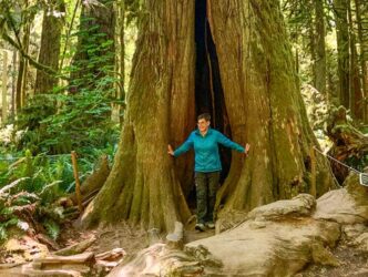 Eine Frau steht in einem Baum in Cathedral Cove