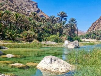 Eine Oase im Oman