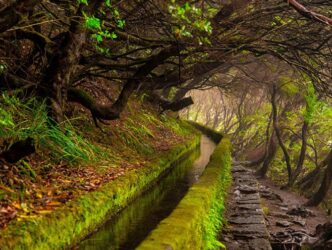Ein Blick auf die Levadas in Madeira.