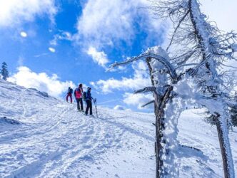 Eine Gruppe wandert auf Schneeschuhen durch die Kalkalpen
